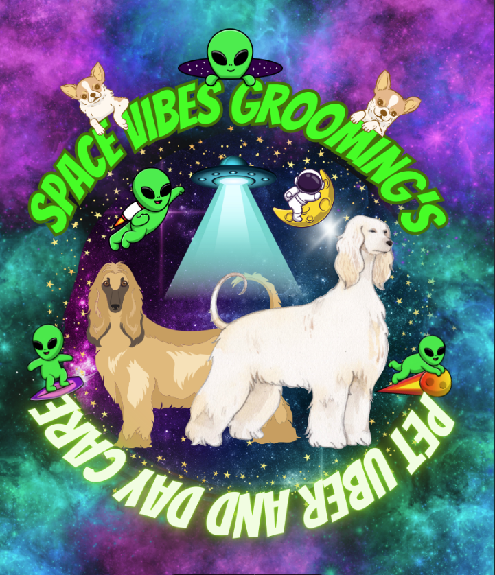 Space Vibes Groomings